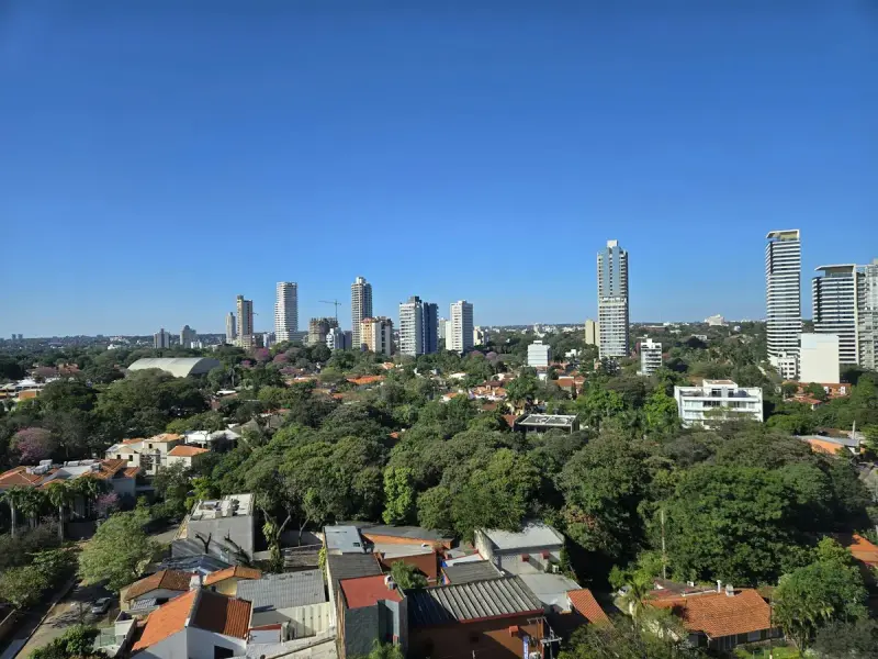 Levar pet para o Paraguai: guia completo do processo