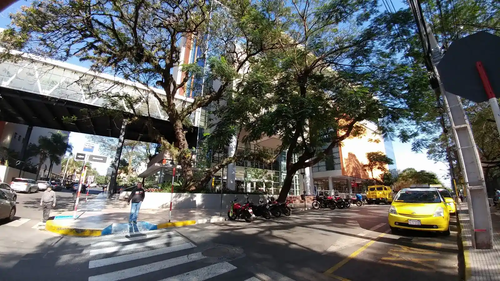 Rua arborizada em Villa Morra, em Assunção, o bairro onde fica a escola Fluido